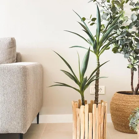 Apartment Palo Alto Indoor Pool Gym View Wifi Parking *